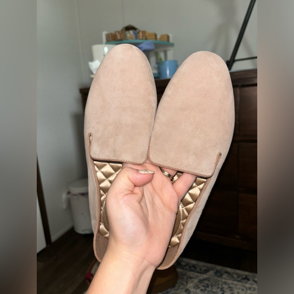 Birdies the starling flats